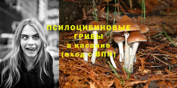 скорость Дмитровск