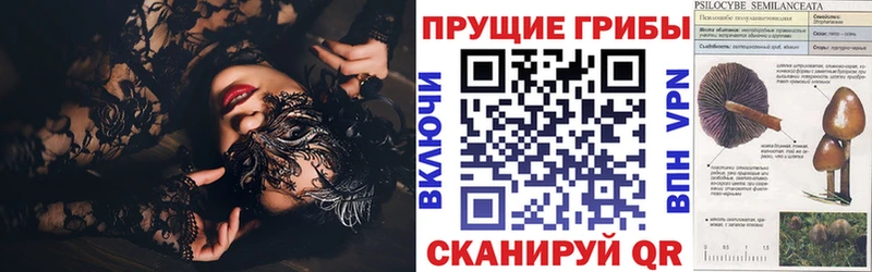 Псилоцибиновые грибы ЛСД  купить наркотики цена  Цимлянск 